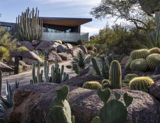 The Advantages of Xeriscaping in San Diego’s Arid Climate