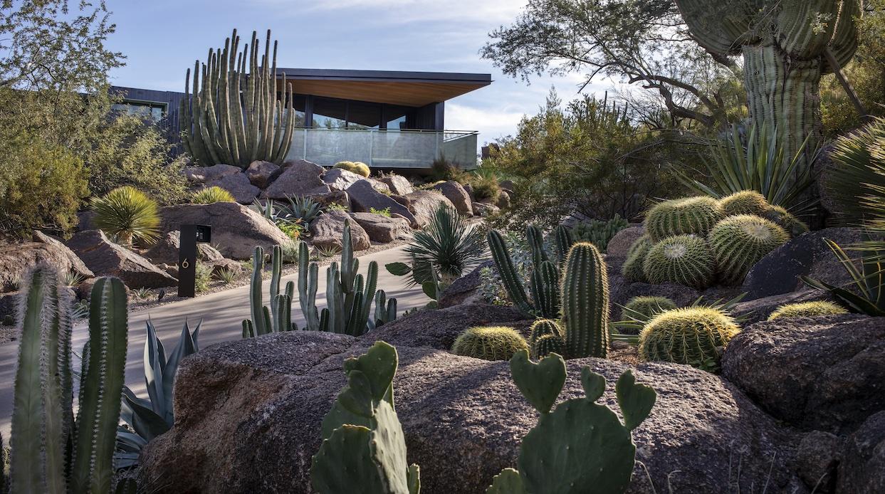 The Advantages of Xeriscaping in San Diego’s Arid Climate