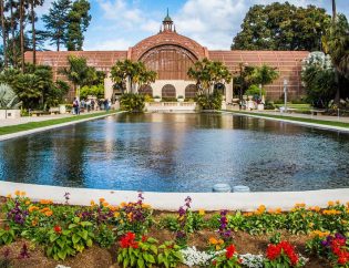 Unlocking the Beauty of San Diego Gardens with Native Plants