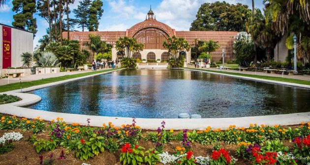 Unlocking the Beauty of San Diego Gardens with Native Plants